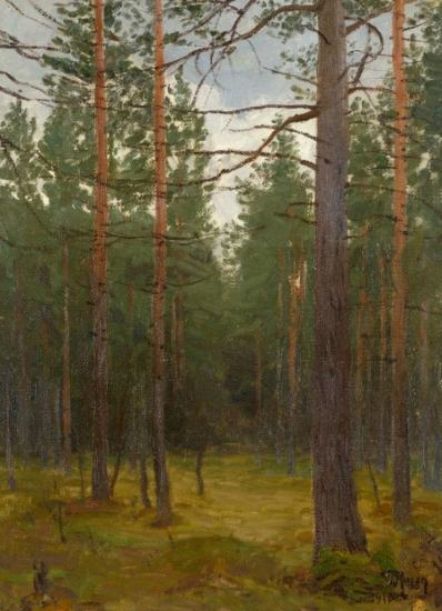 unknow artist Pine forest oil painting image